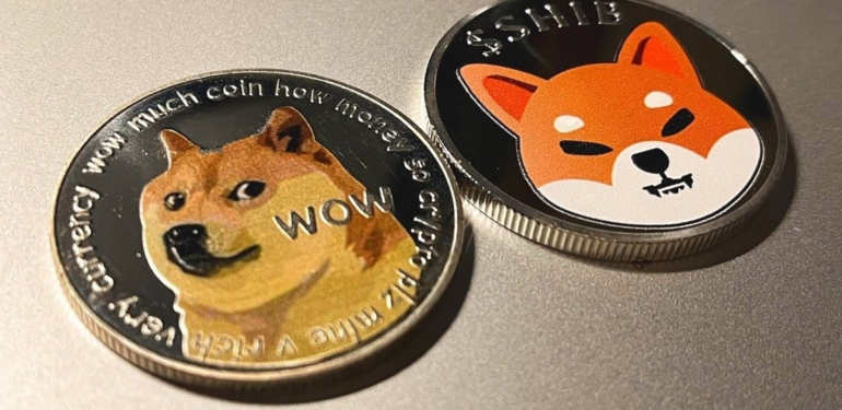 Ünlü Analistten Kehanet Gibi Shiba Yorumu!