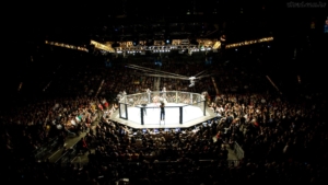 VeChain (VET), Dövüş Organizasyonu UFC ile Ortaklık Kurdu