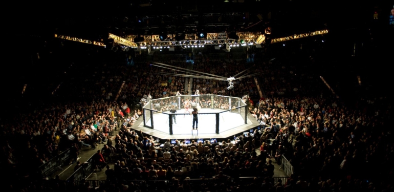 VeChain (VET), Dövüş Organizasyonu UFC ile Ortaklık Kurdu