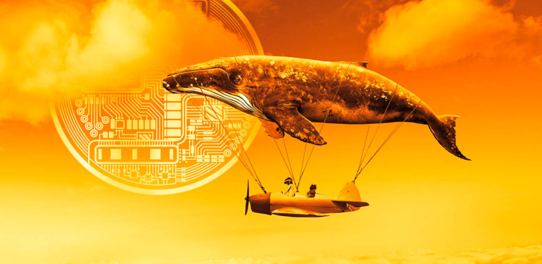 2 Dev Balinadan Mercedes-Benz Dopingi Alan Altcoin’de 2.5 Milyon Dolarlık Alım