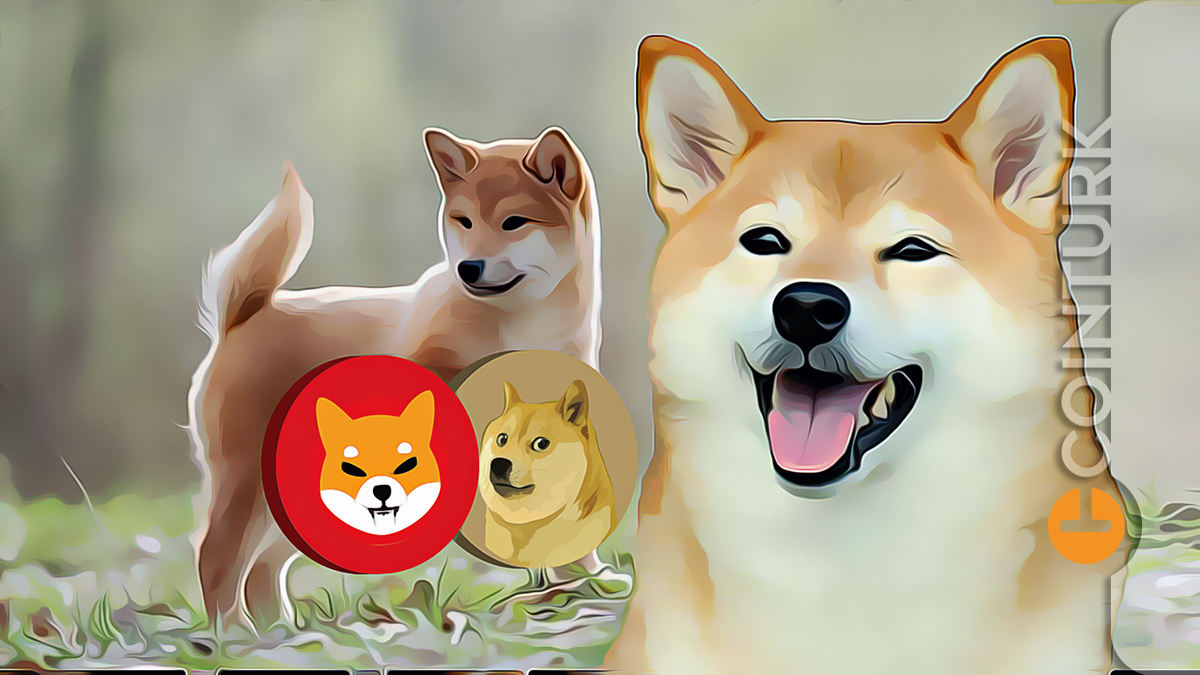 Meme Token’larda Son Durum: DOGE ve SHIB