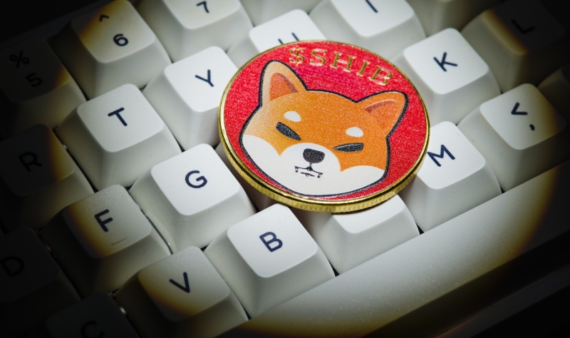 Shiba Inu’dan token yakan Visa kart