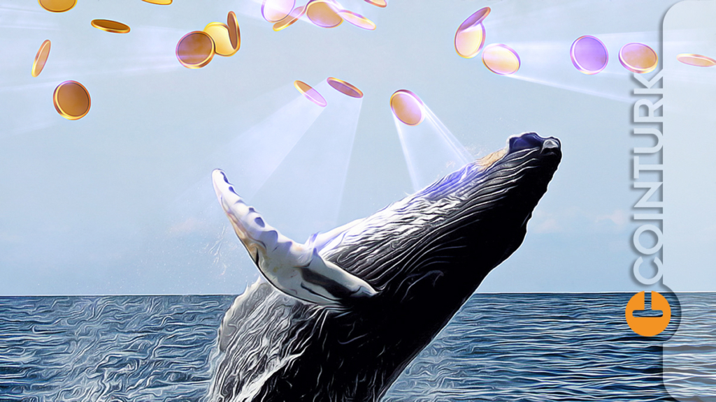 Bu Altcoin Balinaların Hedefinde: Altı Milyon Dolar Değerinde Alım!
