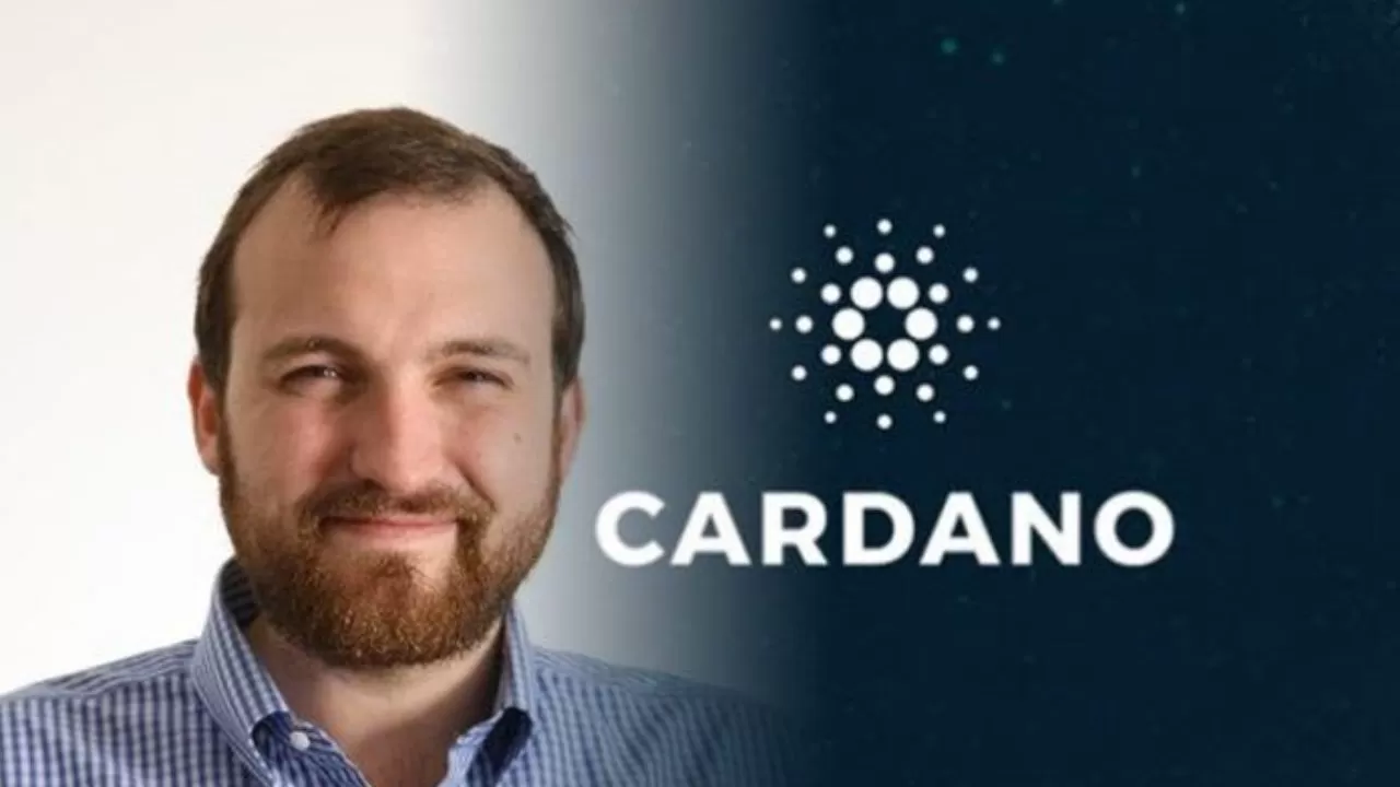 Cardano (ADA) Kurucusu Bitcoin’deki Çöküşü Değerlendirdi!