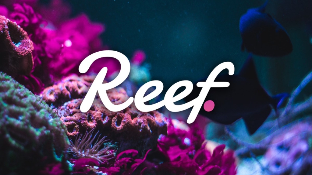 Reef Coin Alınır Mı? Reef Coin Uzman Yorumları!