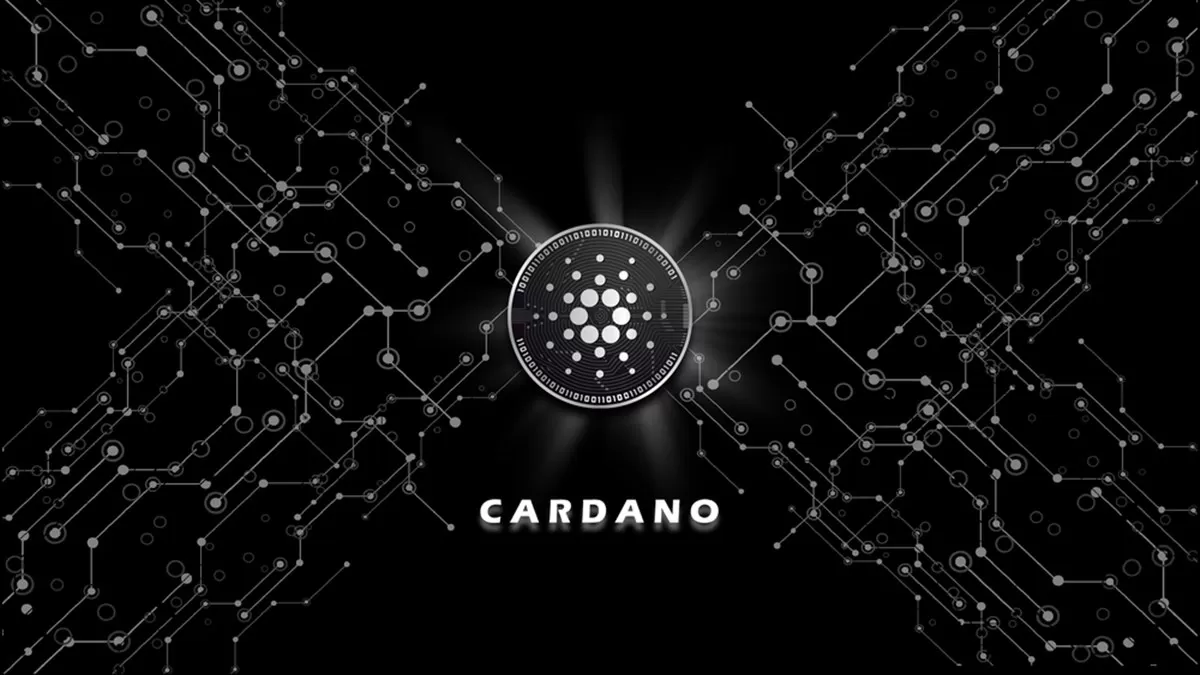 Cardano (ADA) Aylık On-Chain Verileri Yayınlandı!