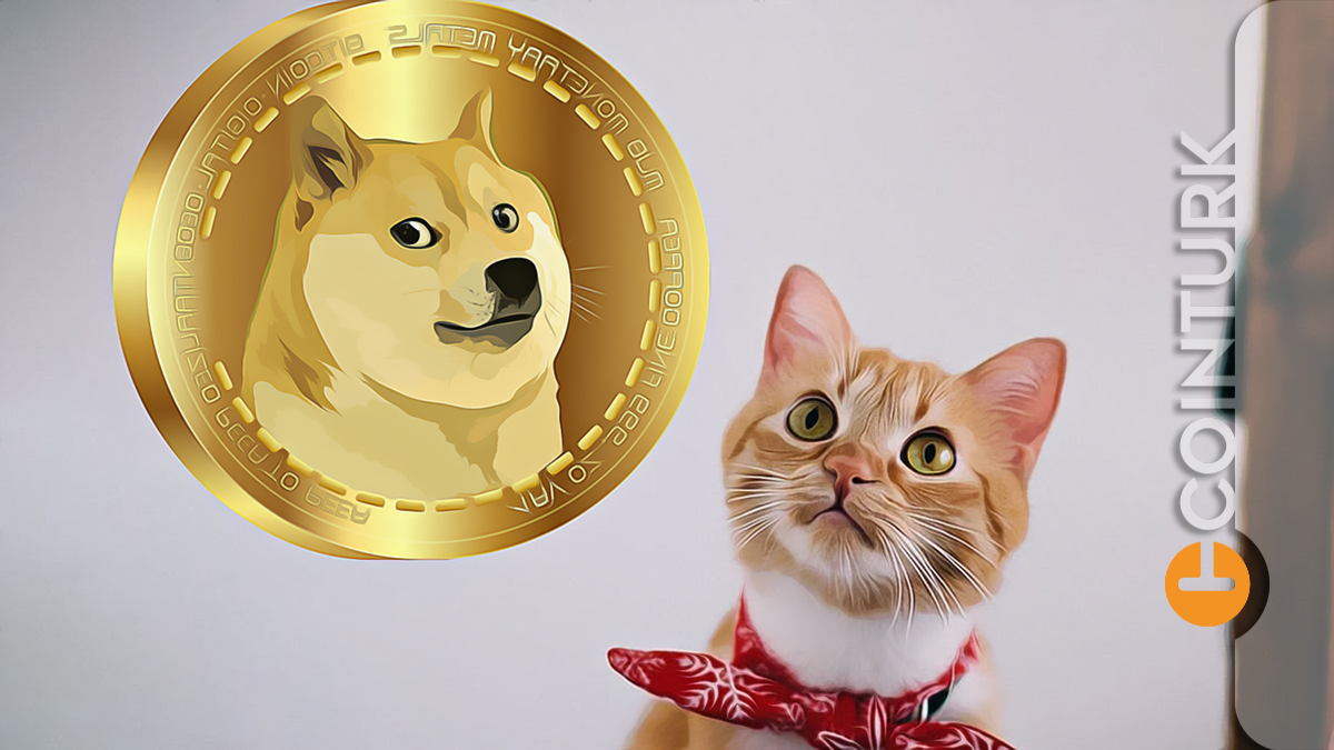 Dogecoin Durdurulamıyor! İşte Dogecoin Ve Diğer Altcoin’lerin Son Durumu!