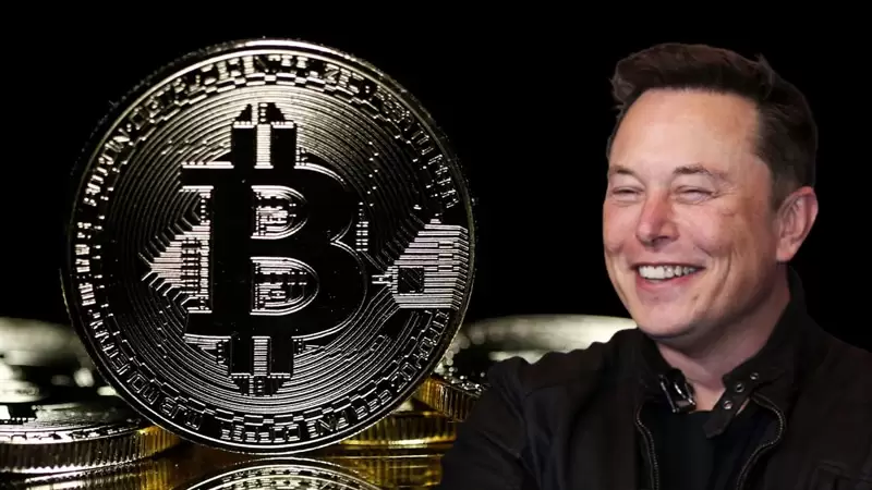 Resesyon, Bitcoin Yarılanmasına Kadar Devam Edebilir! Elon Musk Konuştu!