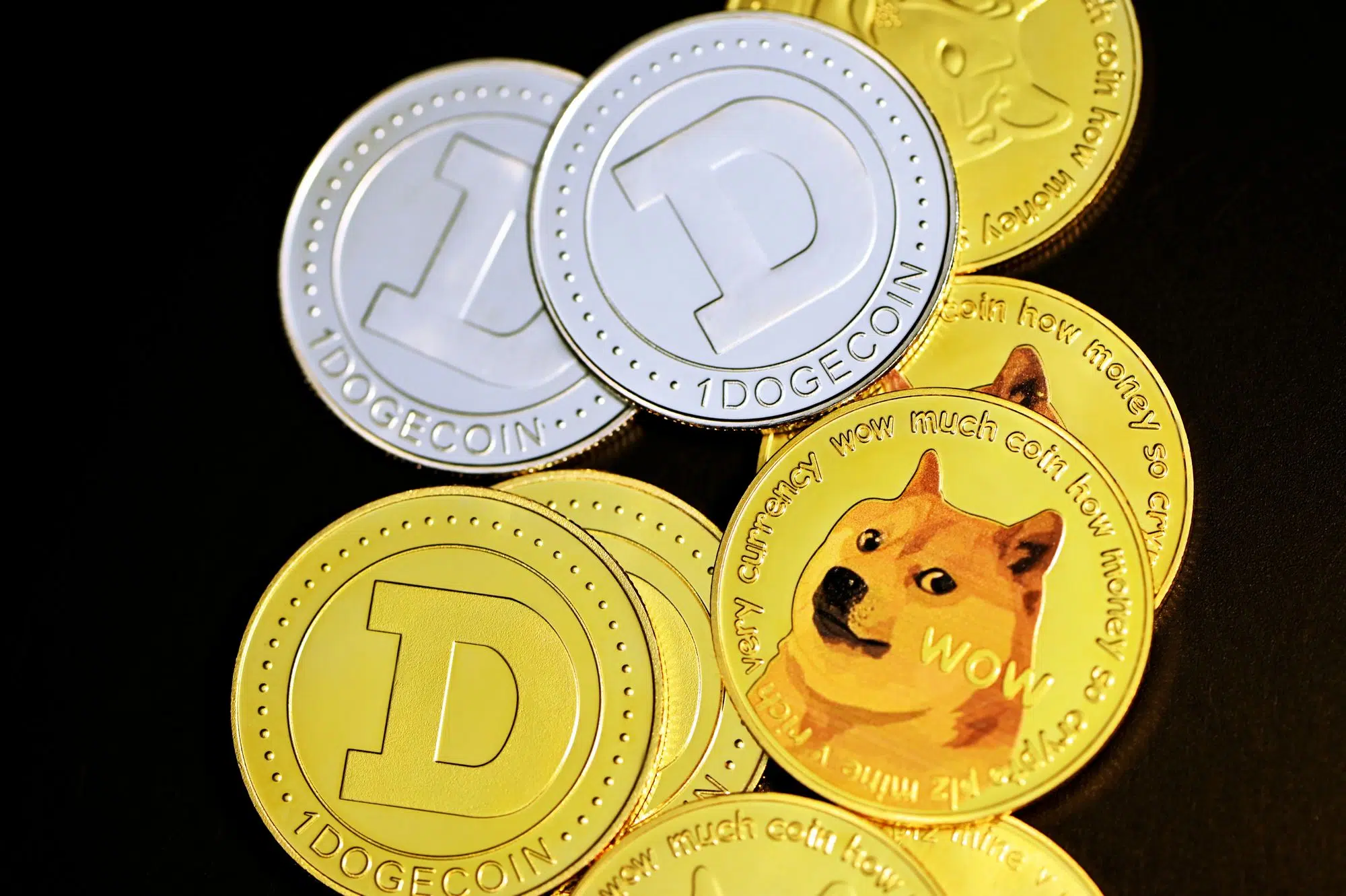 Dogecoin (DOGE) İçin Yeni Gelişme Duyuruldu: Wrapped Dogecoin Geliyor!