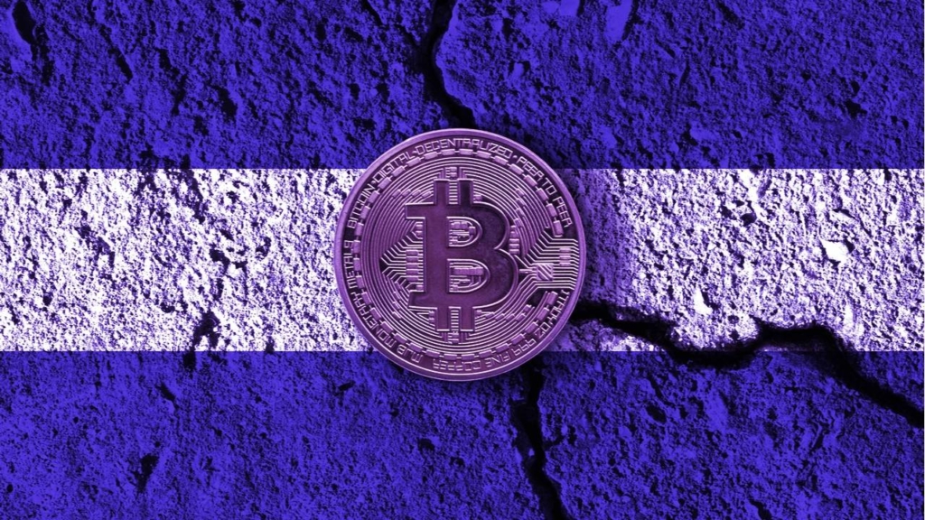 El Salvador Kalkınma Bankası Bitcoin Verilerini Paylaşmadı