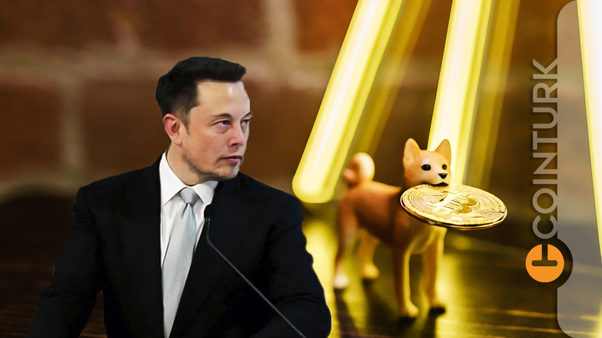 Elon Musk ve Dogecoin Kurucusu İlk Beşteki Bu Altcoinin Çöküşünü Mü Bekliyor?