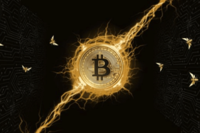 Bitcoin’den Yeni rekor! Glassnode Raporu!