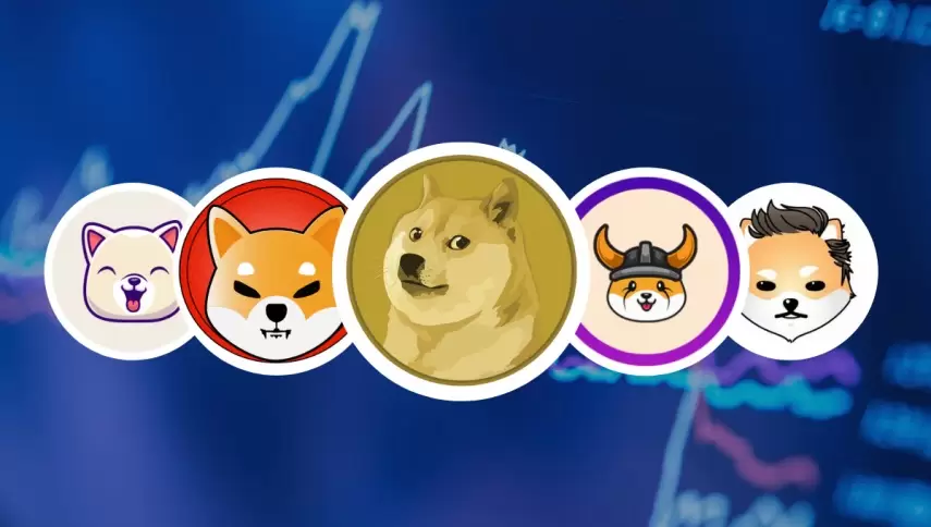 Dogecoin’deki Pozitif Ayrışma Dikkat Çekti: Eski Günler Geliyor Mu?