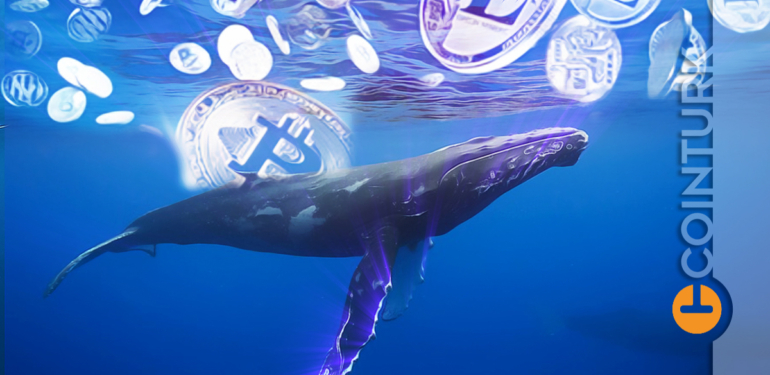 Popüler Altcoinde Rüzgar Tersine Dönecek Mi? Altcoinde Detaylı Analiz!