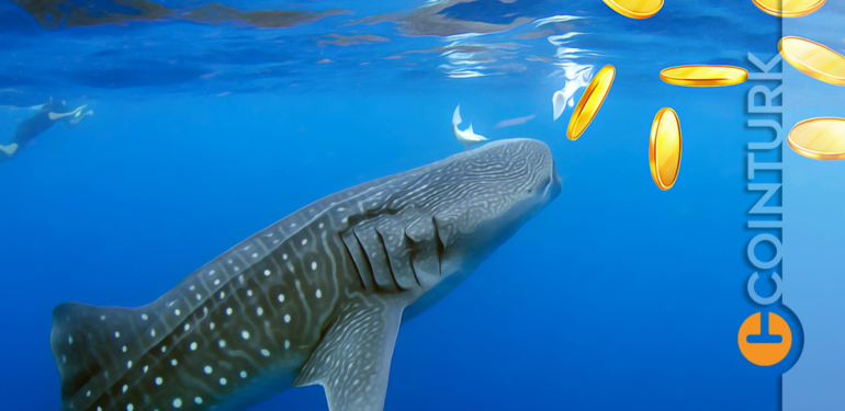 son-dakika-2-altcoine-mujde-hong-kong-daki-yatirimcilar-alip-satabilecek - Crypto Turkey Son DAKİKA: 2 Altcoine Müjde! Hong Kong’daki Yatırımcılar Alıp Satabilecek!