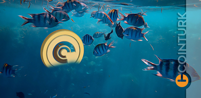 Son Dakika: Microsoft Yeni Altcoin Ortağını Açıkladı! Kripto Roketleri Ateşledi!