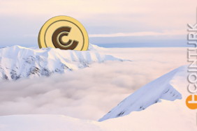 Açıklandı! Bu 2 Altcoin Bir Sonraki Boğa Sezonunun Gizli Cevheri Olacak!