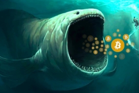 Balinaların canı BTC çekti! Büyük birikim!