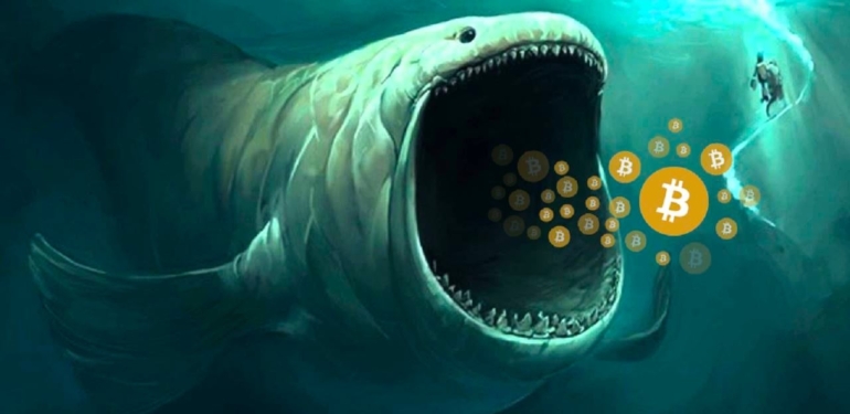 balinalarin-cani-btc-cekti-buyuk-birikim - Crypto Turkey Balinaların canı BTC çekti! Büyük birikim!