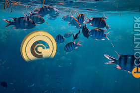 DeFi Kralı Altcoin 1600 Doları Aşabilir! ETH ve BTC Onun Gerisinde Kaldı