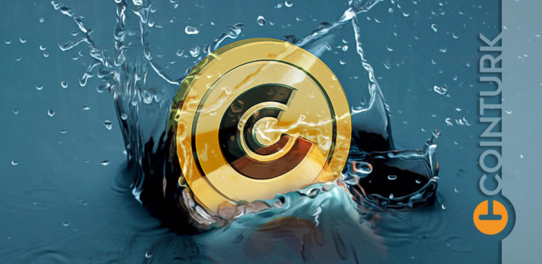 Kripto Para Piyasasında Altcoinlerin Geleceği: Düşüş ve Yatırım Stratejileri!