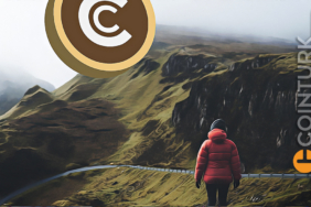 Kurucusunun Gözaltına Alınması Bu Altcoin’i Çökertti! Yüzde 30’u Aştı!