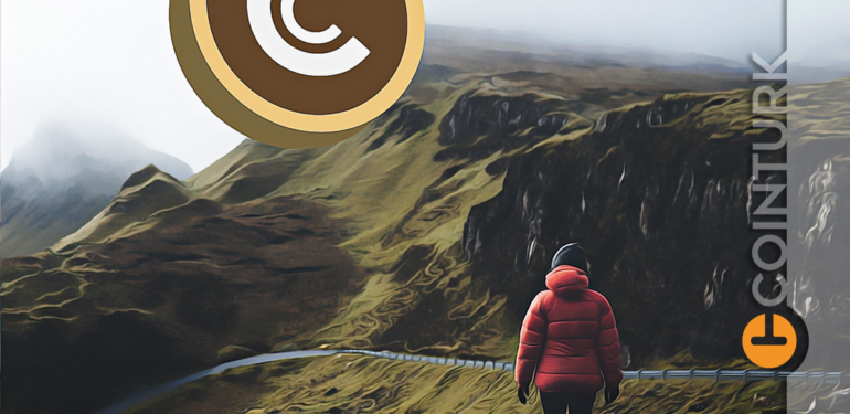 Kurucusunun Gözaltına Alınması Bu Altcoin’i Çökertti! Yüzde 30’u Aştı!