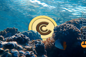 Popüler Altcoin’de Yeniden Düğmeye Basıldı! 50 Milyon Coin’lik Gizemli Transfer!