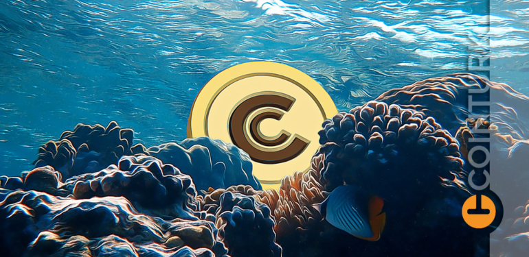 populer-altcoin-de-yeniden-dugmeye-basildi-50-milyon-coin-lik-gizemli-transfer - Crypto Turkey Popüler Altcoin’de Yeniden Düğmeye Basıldı! 50 Milyon Coin’lik Gizemli Transfer!