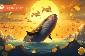 Bitcoin’de onchain verileri ekim ayına pozitif başladı!