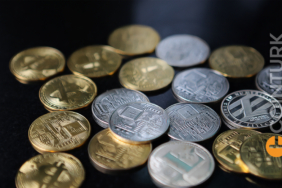 Son Dönemlerin Gözdesi Meme Token’da Veriler Konuşuyor! Token’a İlgi Sürecek Mi?