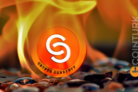 Tam 10 Milyar Adet! Bu Altcoin Yüzde 50’lik Yakımla Resmen Alev Aldı! Fiyat Zıpladı