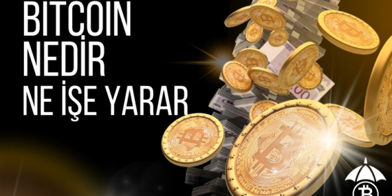 Bitcoin Nedir? Bitcoin’in Tarihi, Kullanım Alanları ve Güncel Durumu