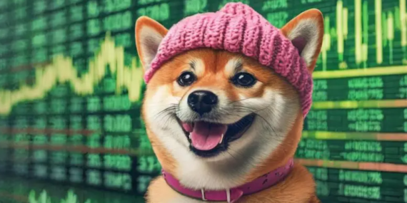 Memecoin’lerde satışlar artıyor: Dogwifhat (WIF) çakıldı