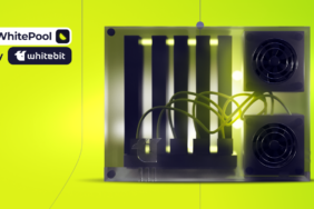 WhitePool_media_light(1)