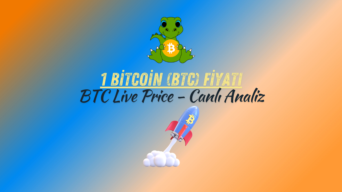 bitcoin fiyatı