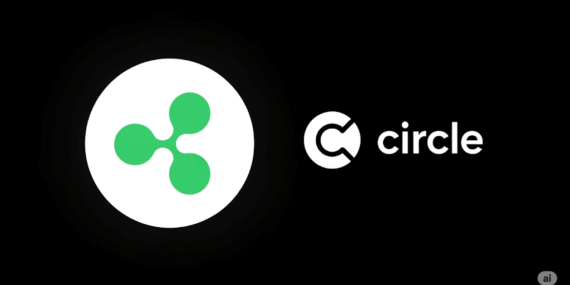 Ripple, Stablecoin Yarışı Kızışırken Circle İçin Teklifini Artırdı